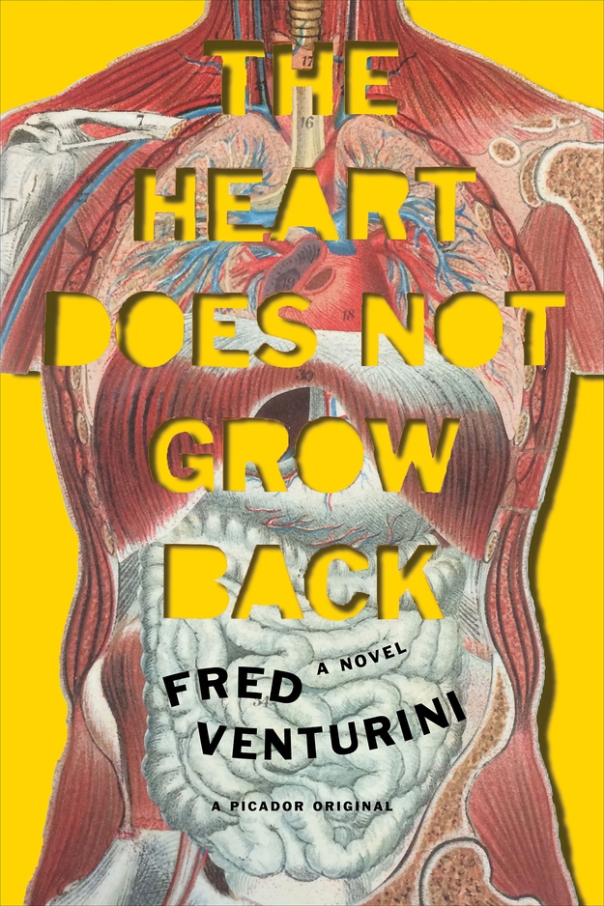 The Heart Does Not Grow Back