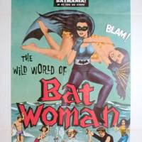 The Wild Wild World of Batwoman